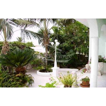 Sprzedaż - Nieruchomości - Willa / Dom - La Orotava 1