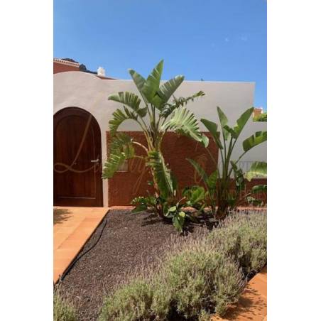 Sprzedaż - Nieruchomości - Dom / Apartament - Calle Extremadura 1
