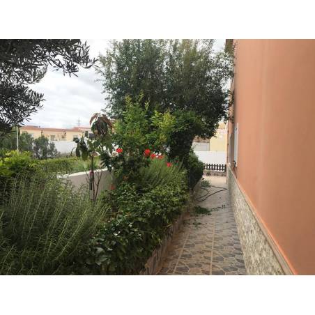 Sprzedaż - Nieruchomości - Dom / Apartament - Calle La Arena 2